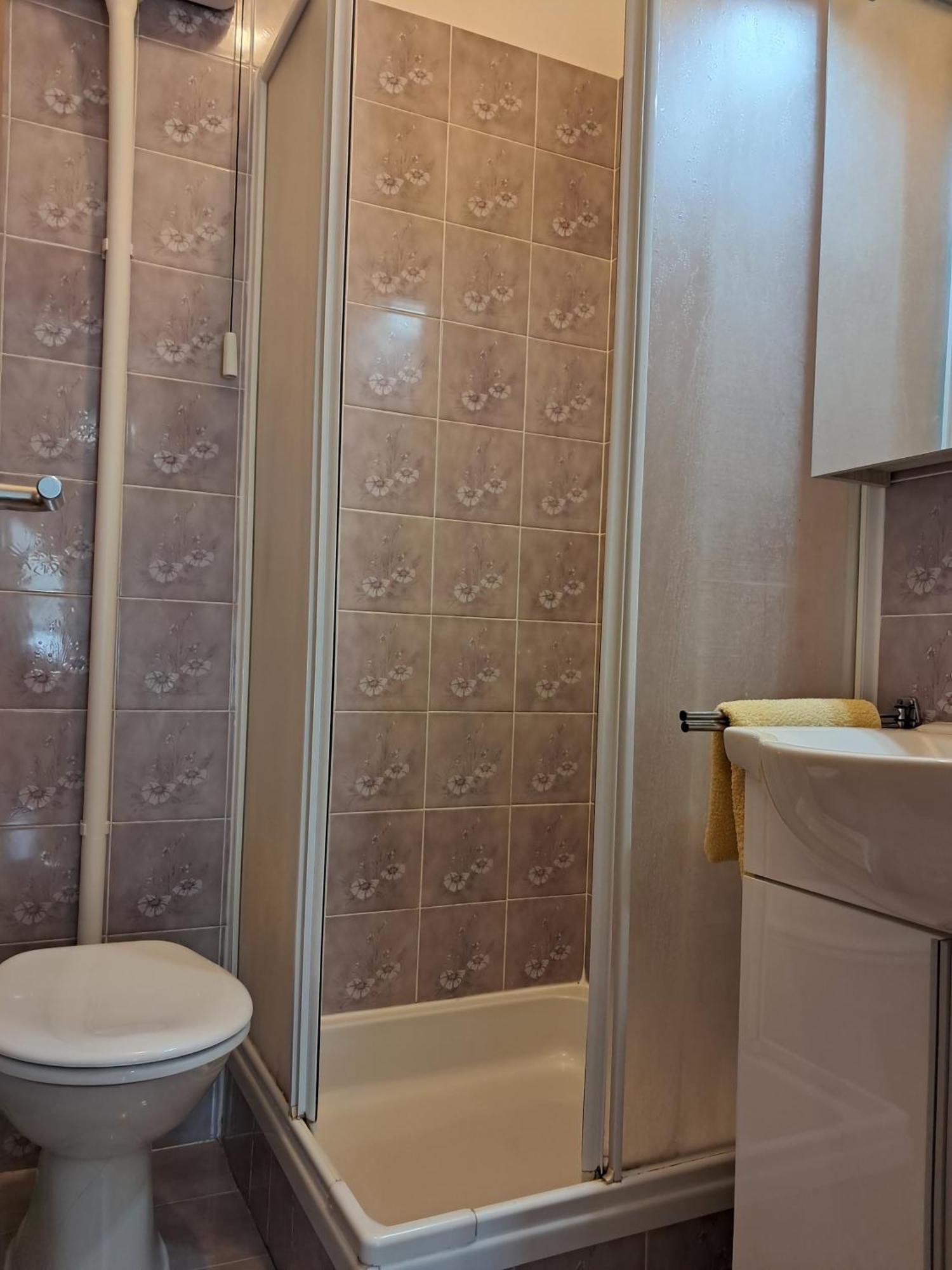 Krunic Apartment