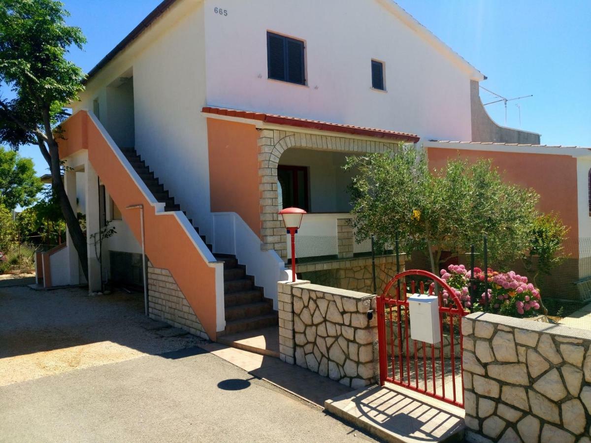 Krunic Apartment